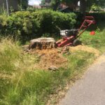 Essouchage d'arbre, enlever souche arbre, enlever tronc
